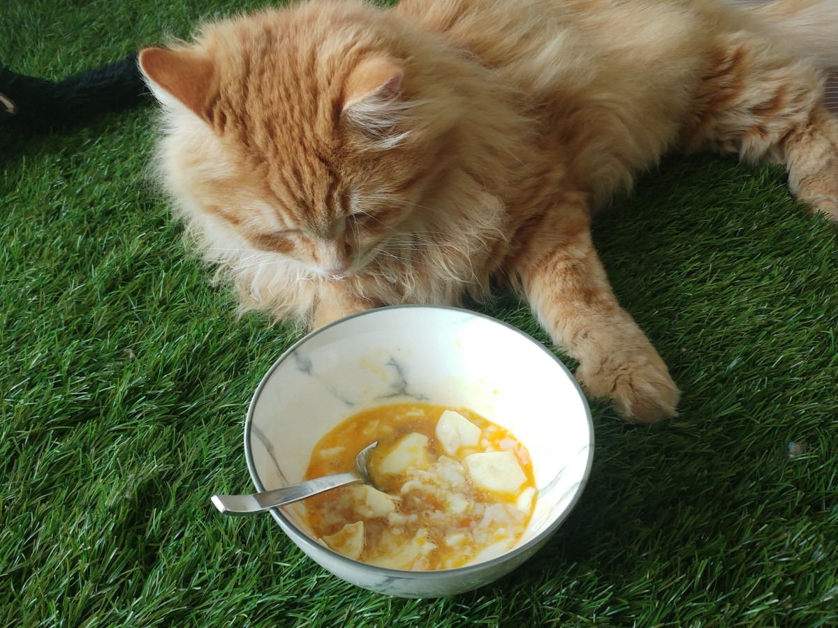 A Singaporean breakfast