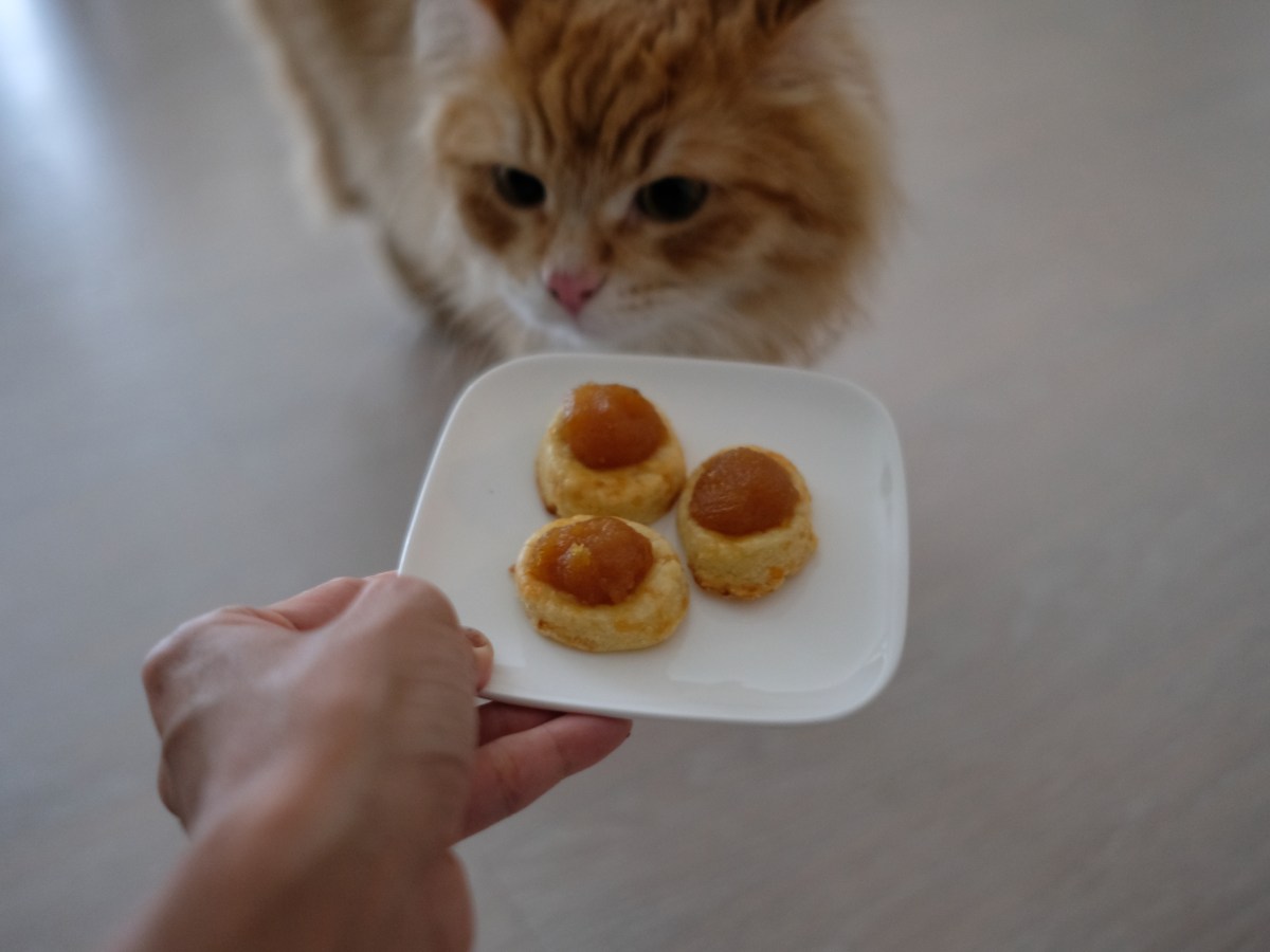 Singaporean Pineapple tarts
