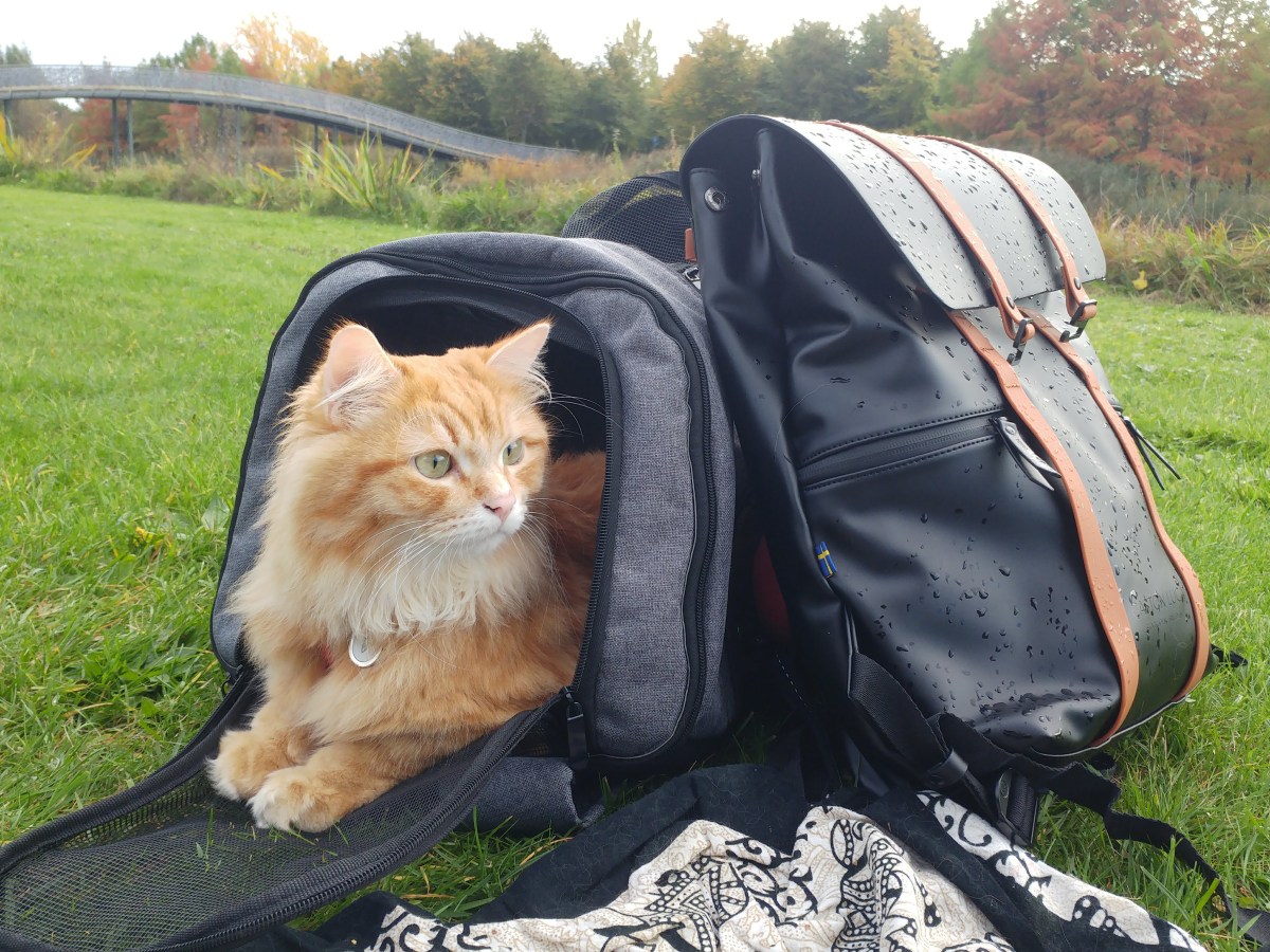 Our new favourite travel&nbsp;Backpack