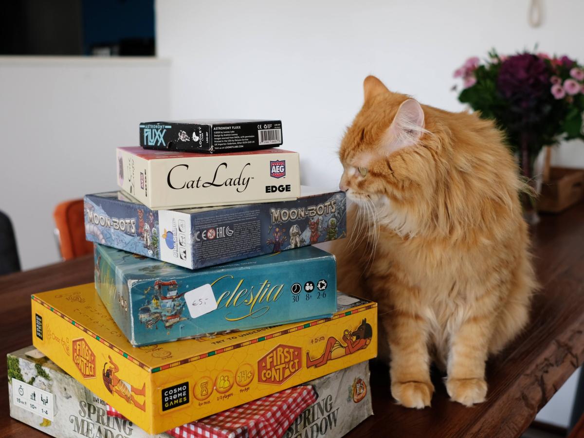 Cat boardgames