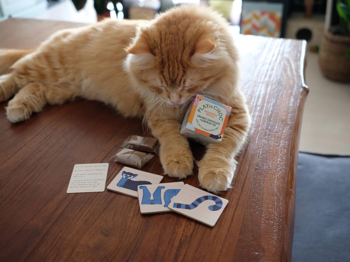 Socially conscious ‘kinder&nbsp;surprise’